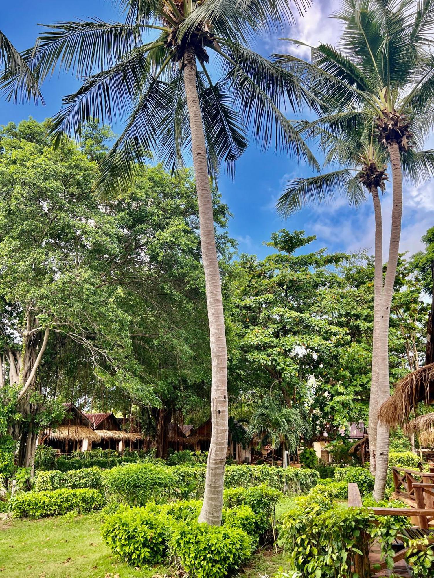 Nautilus Right On The Beach - Adult Only - Sha Extra Plus Koh Lanta Ngoại thất bức ảnh